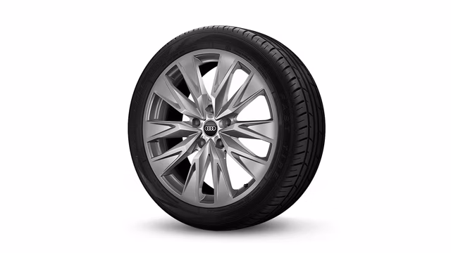 Bilde som viser 20&quot; i 5-dobbelteikers design, platinagrå
